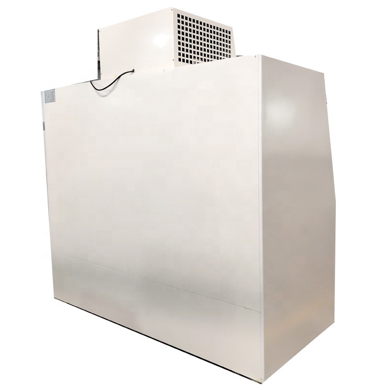 Outdoor Ice Merchandiser Cold Wall Ice Freezer For 200 Bags Cube Ice Storage Fridge