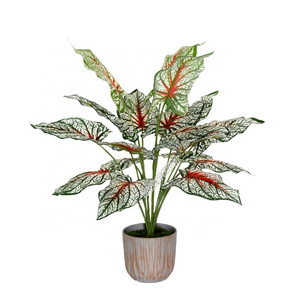 Factory sale cheap and high quality artificial bonsai plant red Caladium for decoration