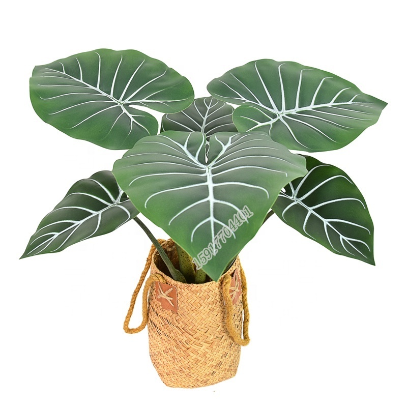 High quality fake flower real touch large leaf evergreen  artificial caladium plant  for bonsai decoration