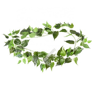 Free Samples Real touch 190 cm Scindapsus artificial vine plant for ceiling decoration