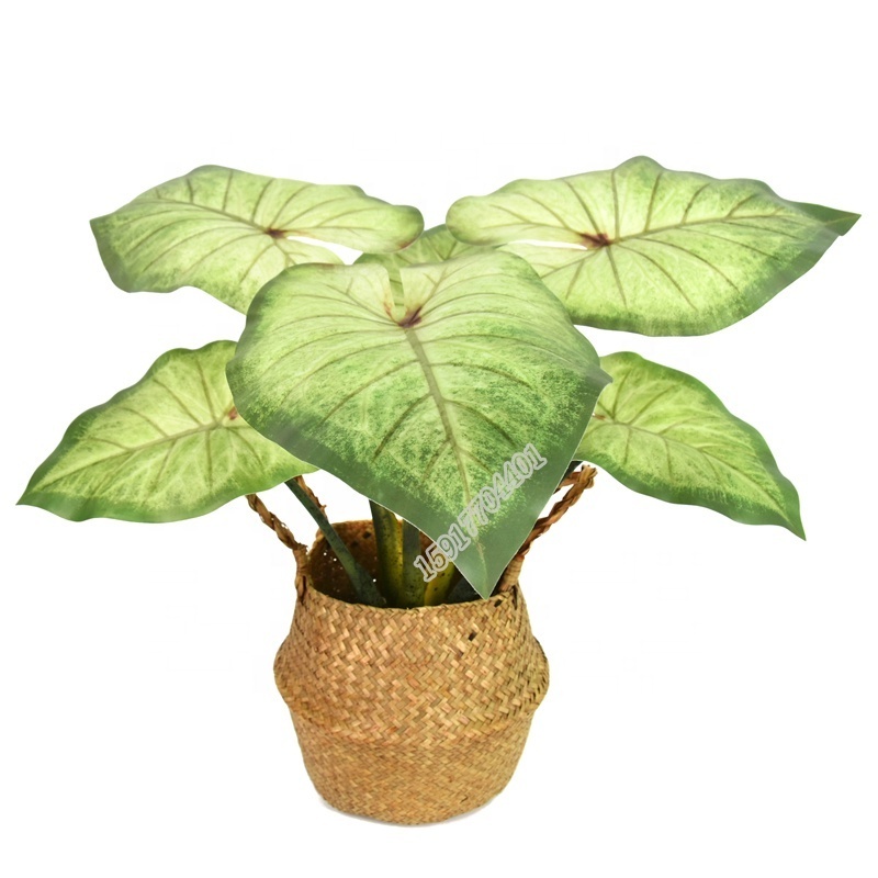 High quality fake flower real touch large leaf evergreen  artificial caladium plant  for bonsai decoration