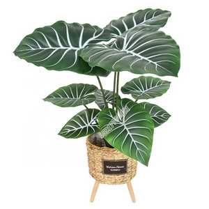 Real touch large leaf 80cm fake tree artificial caladium plant  for house decoration