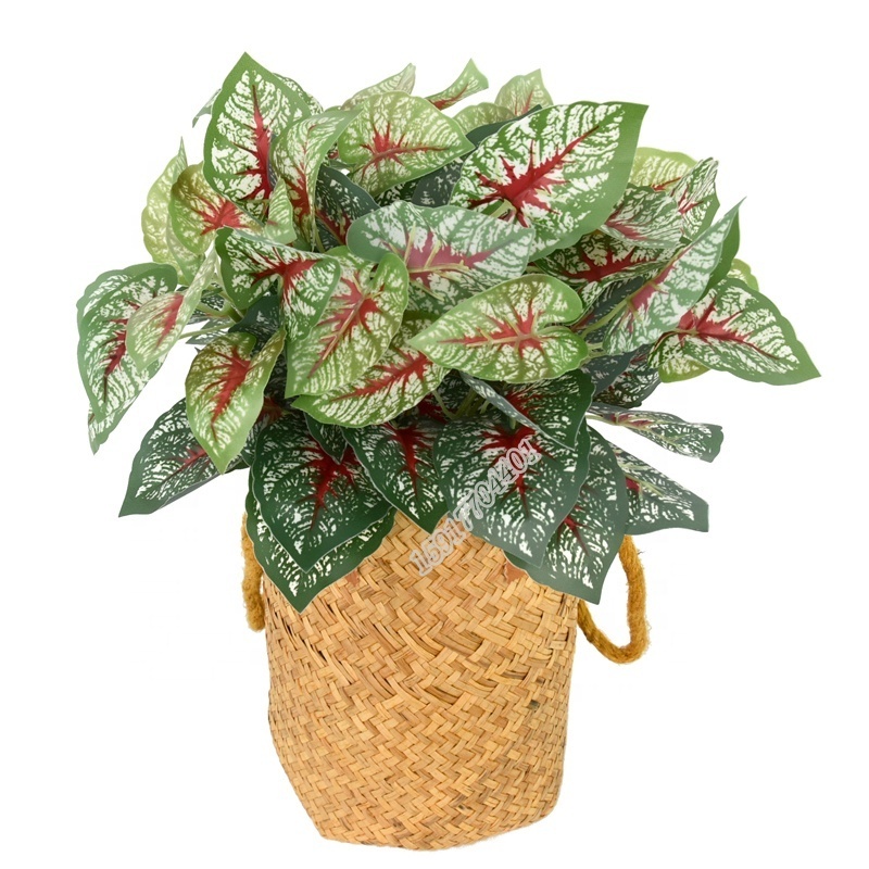 Free Samples Real Touch Syngonium indoor plant artificial caladium plant fake leaves for wall decoration