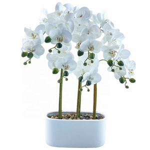 Artificial flower wall Wholesale Pure White Artificial Butterfly Orchid Flowers With Cement Pot Silk Phalaenopsis Flowers