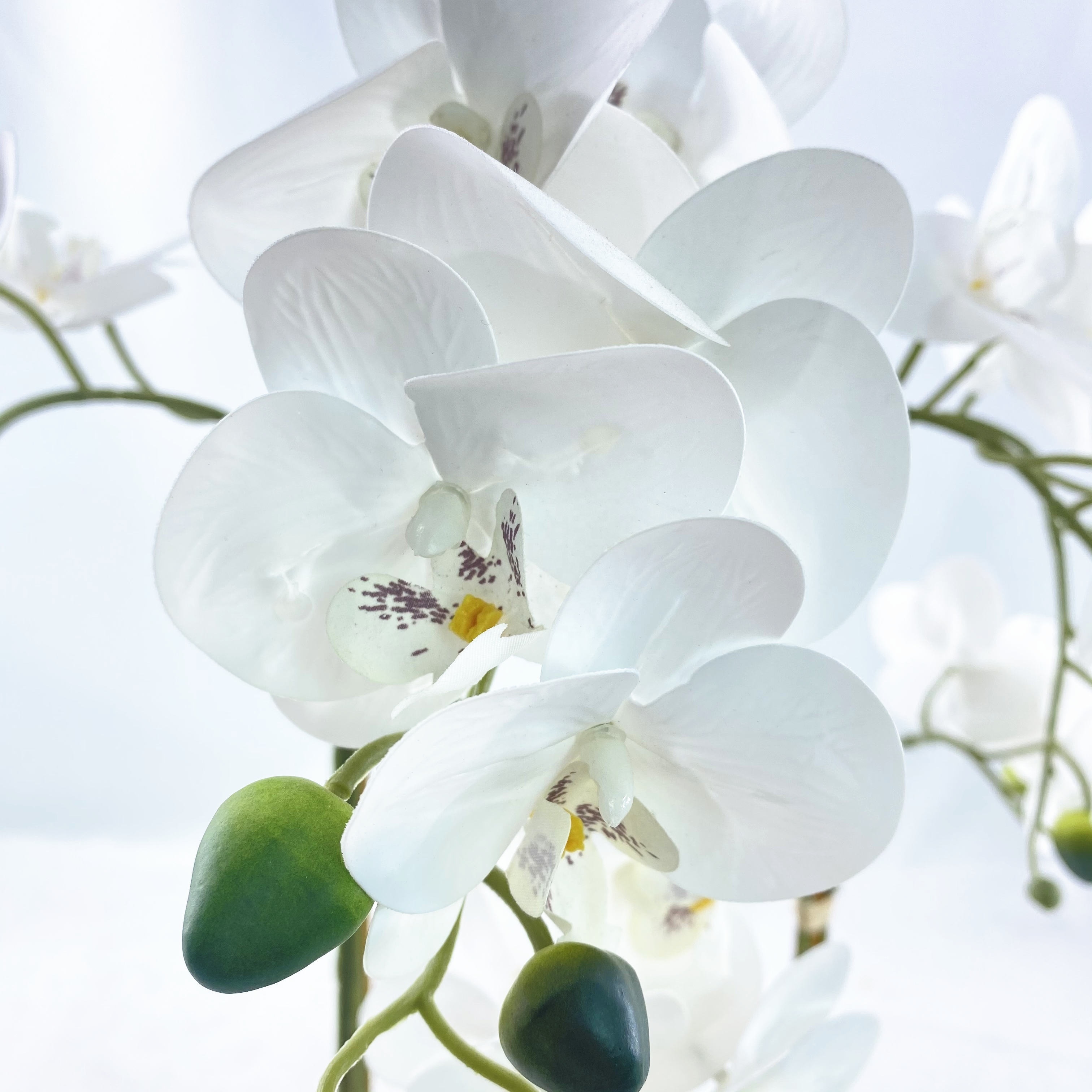 Artificial flower wall Wholesale Pure White Artificial Butterfly Orchid Flowers With Cement Pot Silk Phalaenopsis Flowers