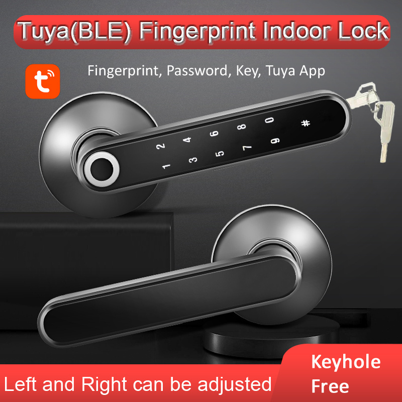 Hot Sale Smart Door Lock Tuya APP Remote Control Biometric Fingerprint Password Key Smart Home Door Lock