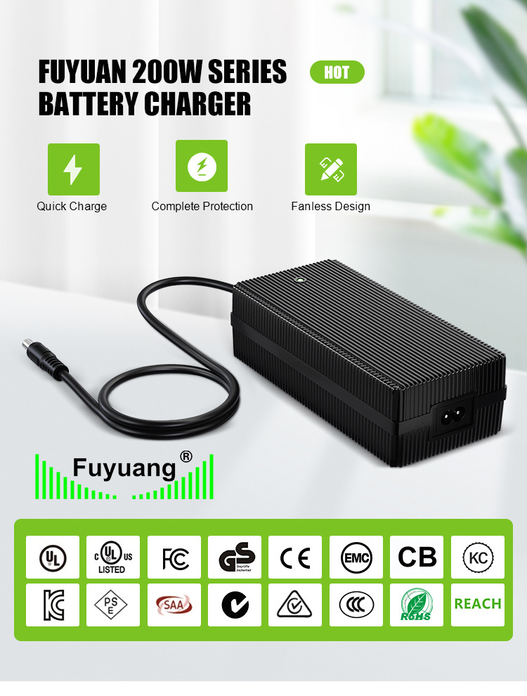 12v 24v 36v 48v 12 48 72 volts electric bike vehicle golf carts ebike LiFePO4 20a 30a lithium ion battery charger for batteries