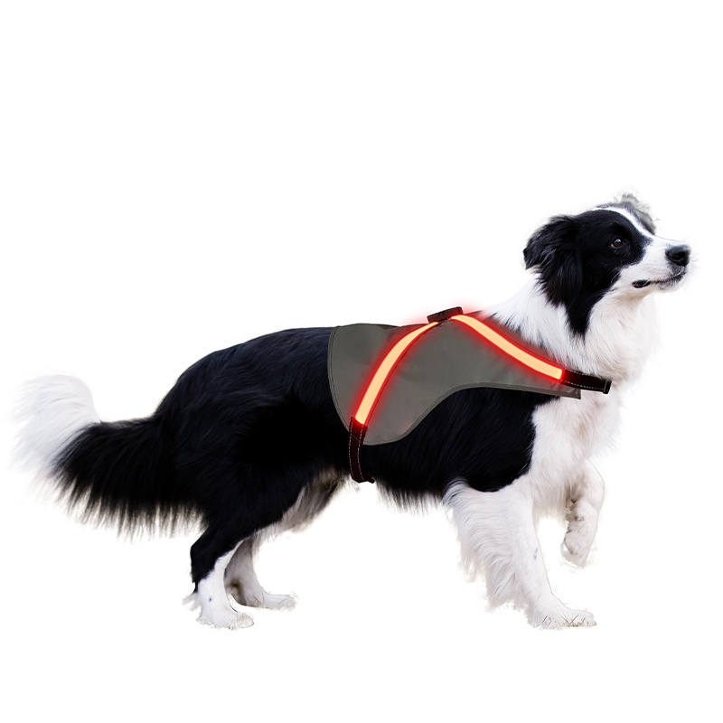 Fashion 2023 year now style LED optic fiber reflective dog vest dog harness for walk the dog at night