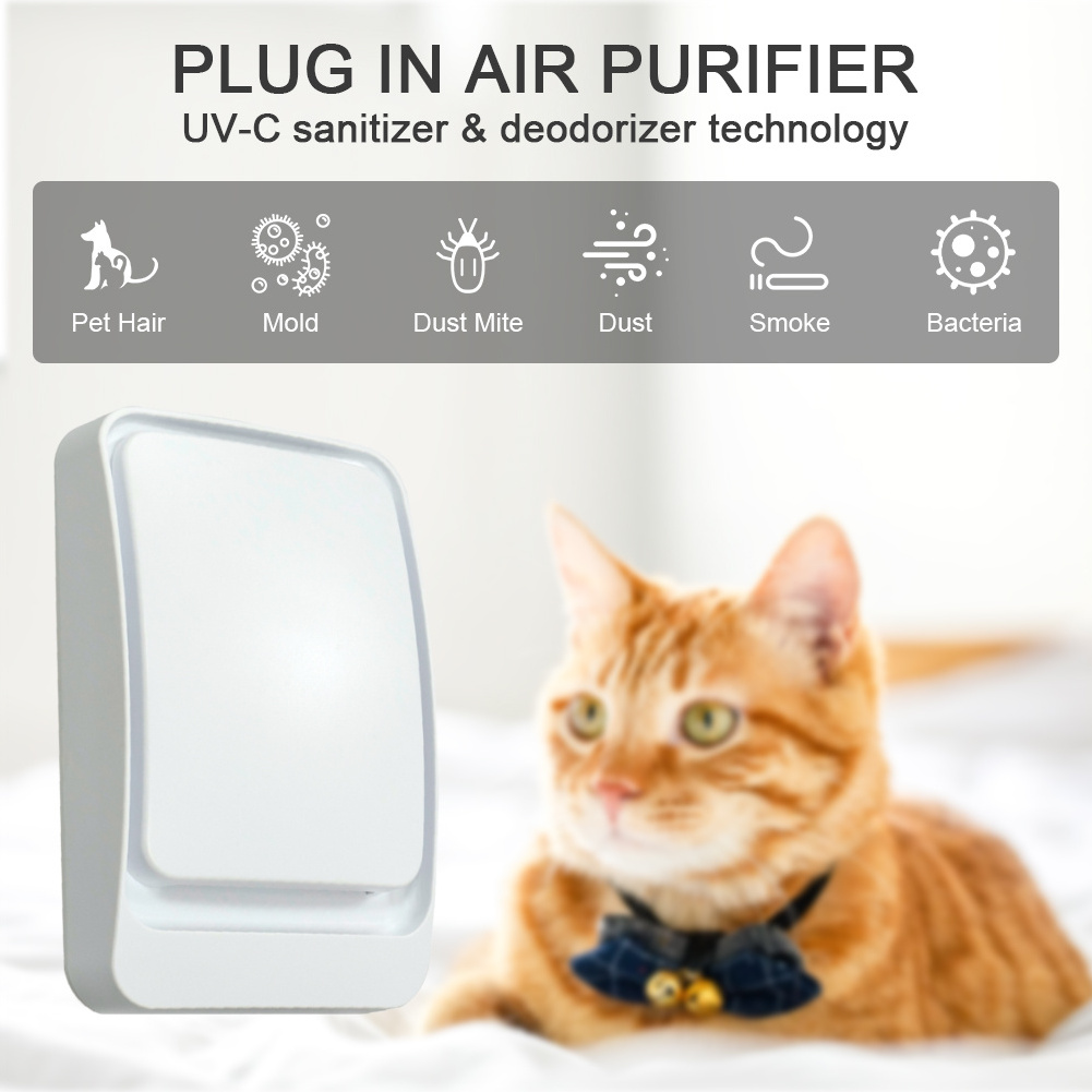 Portable House Hotel PM2.5 OEM Air Cleaner Small Negative Oxygen Ion Air Purifier For Home Office