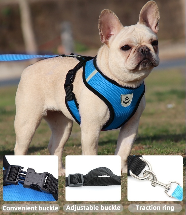 2024 Personalized Design Dog Collars and Matching Leashes Rubber Logo Covers Dog Collar Leash Manufacturers Pet Harness