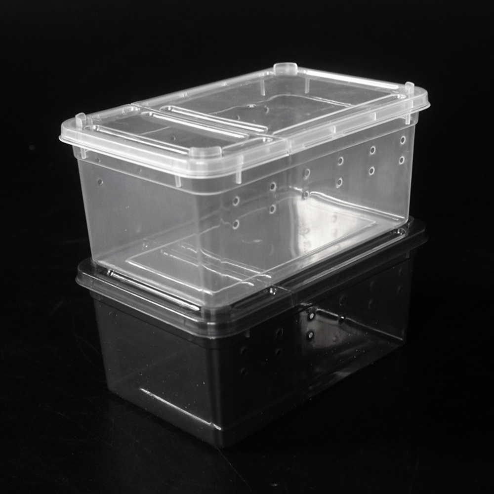 Wholesale Translucent Plastic Snake Tub Reptile Rack For Breeding Reptiles