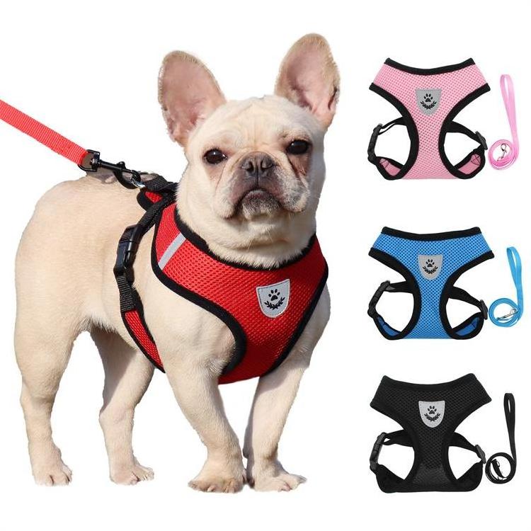 2024 Personalized Design Dog Collars and Matching Leashes Rubber Logo Covers Dog Collar Leash Manufacturers Pet Harness