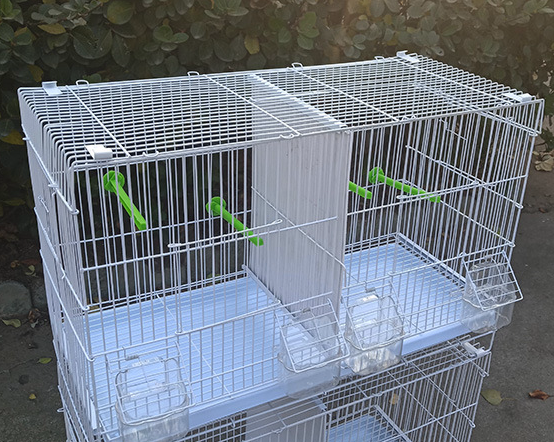 Wholesale Geshifeng Factory Group cage with Partition Design Bird House For Parrot