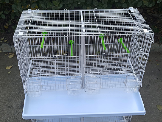 Wholesale Geshifeng Factory Group cage with Partition Design Bird House For Parrot