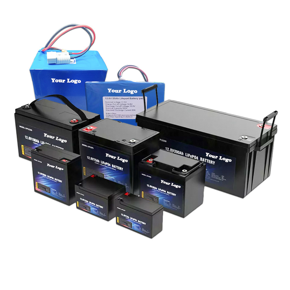 Custom Rechargeable 12v 12.8V 24V 48v 50Ah 100Ah 200Ah Golf Cart motorcycle car lifepo4 battery packs lithium ion batteries