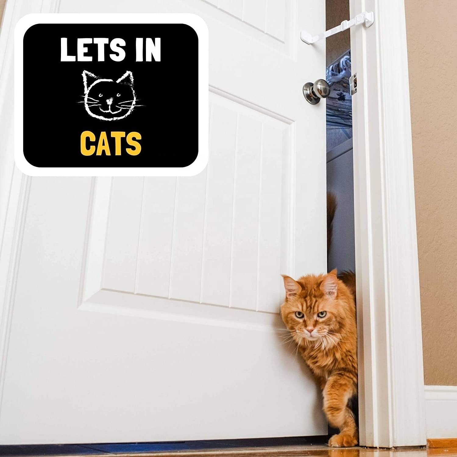 Door Latch Plus Door Stop Keep Dog Out of Litter Box and Prevent Door from Closing Easy Cat and Adult Entry