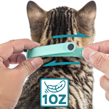 Free Sample Available Funny Interactive Chasing Self Entertainment Amusing Laser Cat Toy  Collar