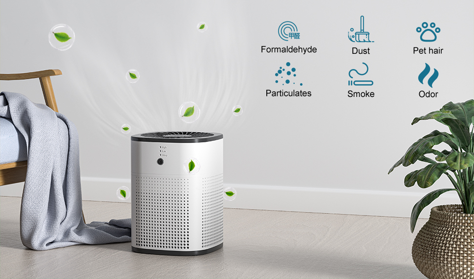 True hepa filter room air purifiers cleaning air formaldehyde odors dust removal certification CE ETL FCC RoHs air purifier BestSuppliers