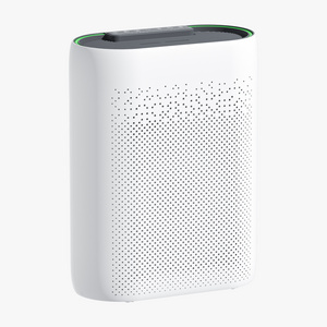 2023 Air purifier smart with hepa filter and pet hair