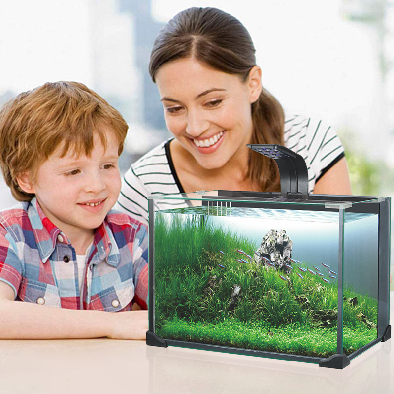 Heto Small Desktop Aquarium Kit Fish Tank with LED Lighting ,water pump, Filter goods Included for Home,office,commercial