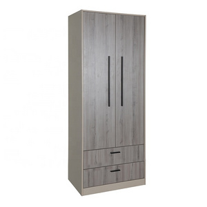 Hot Sale Modern Wood Wardrobe with Two Doors and Two Drawers Bedroom Wardrobe