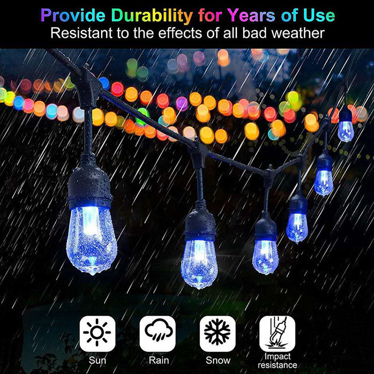 JAIYI 120V S14 E26 Bases Festoon LED Color changing RGB Dimmable String Light with Remote Controlled