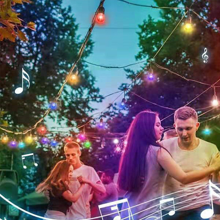 JAIYI 120V S14 E26 Bases Festoon LED Color changing RGB Dimmable String Light with Remote Controlled