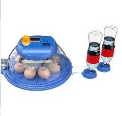 Capacity Automatic water supply Temperature  Ostrich Parrot egg incubator for sale chicken hatchery 48 eggs