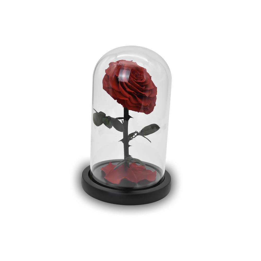 Luxury Valentine Day Preserved Roses In Glass Dome Factory Glass Dome With Wood Base Eternal Rose Preserved Flower In Glass Dome