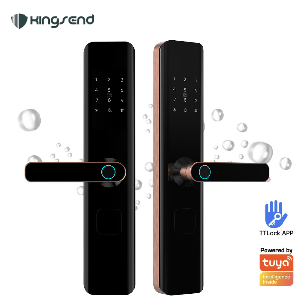 ttlock BLE App Remote High Security Anti Theft Apartment Intelligent Smart Door Lock Electronic Fingerprint Smart Locks