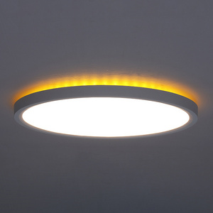 12" 24W 15" 30W Smart Led Ceiling Light Flush Mount Light Fixture Dimmable RGB Ambient Lighting