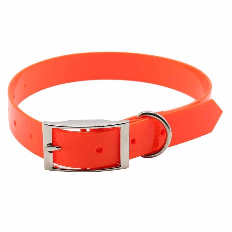 TPU Coated Nylon Webbing Durable Breakaway Dog Collar Hardware from China for Small Medium Large Dogs with Buckled Decor