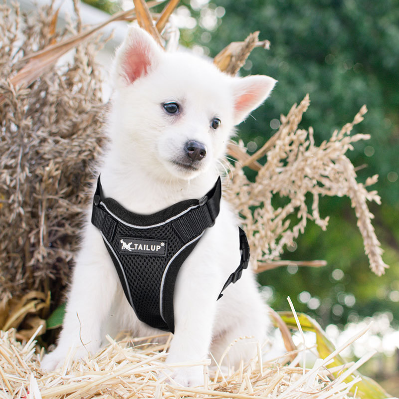 Small Animals' Adjustable Reflective Breathable Mesh Pet Dog Cat Harness Solid Fabric/Fiber Pattern Escape-Proof Backpack