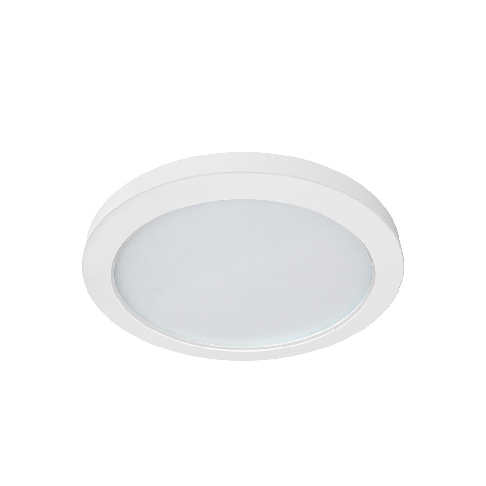 9 Inch Die-cast Aluminum Round Dimmable  Decorative Flush Surface Mount LED Luminous Ceiling Light with Emergency Battery Backup