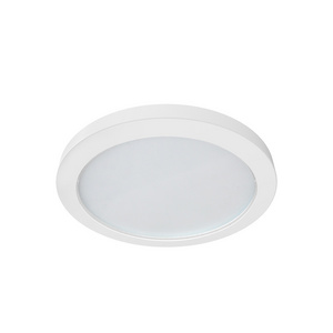 9 Inch Die-cast Aluminum Round Dimmable  Decorative Flush Surface Mount LED Luminous Ceiling Light with Emergency Battery Backup