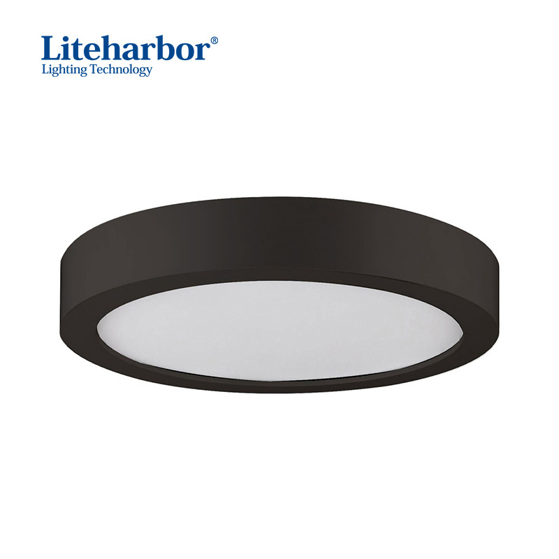 Round Flush Mount Indoor Living Room  Modern Led ceiling Lights decorative ceiling lights