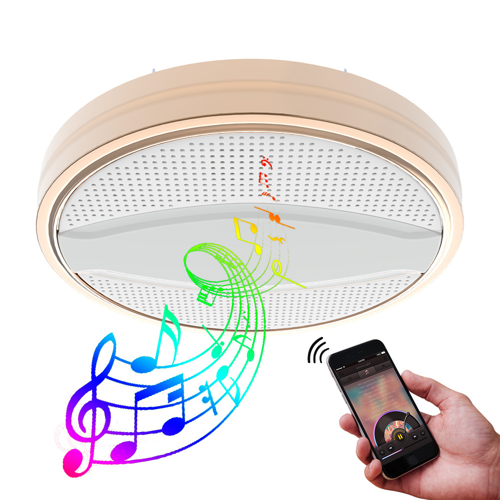 Liteharbor New Design 12W Music Ceiling Wireless Speaker Led Lamp Led Ceiling Light With Remote