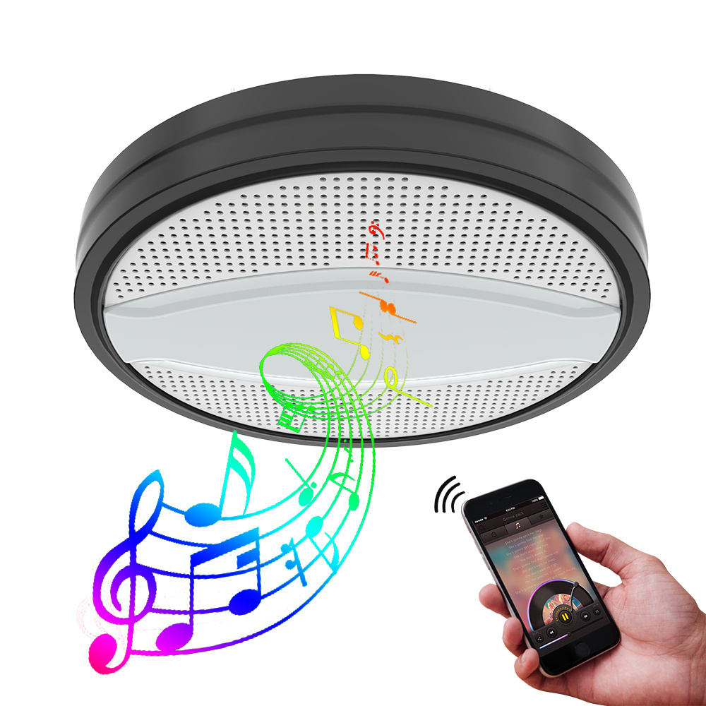 Liteharbor New Design 12W Music Ceiling Wireless Speaker Led Lamp Led Ceiling Light With Remote