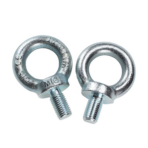 Stainless Steel DIN 580 Lifting Eye Bolt Screw (M6 - M30)