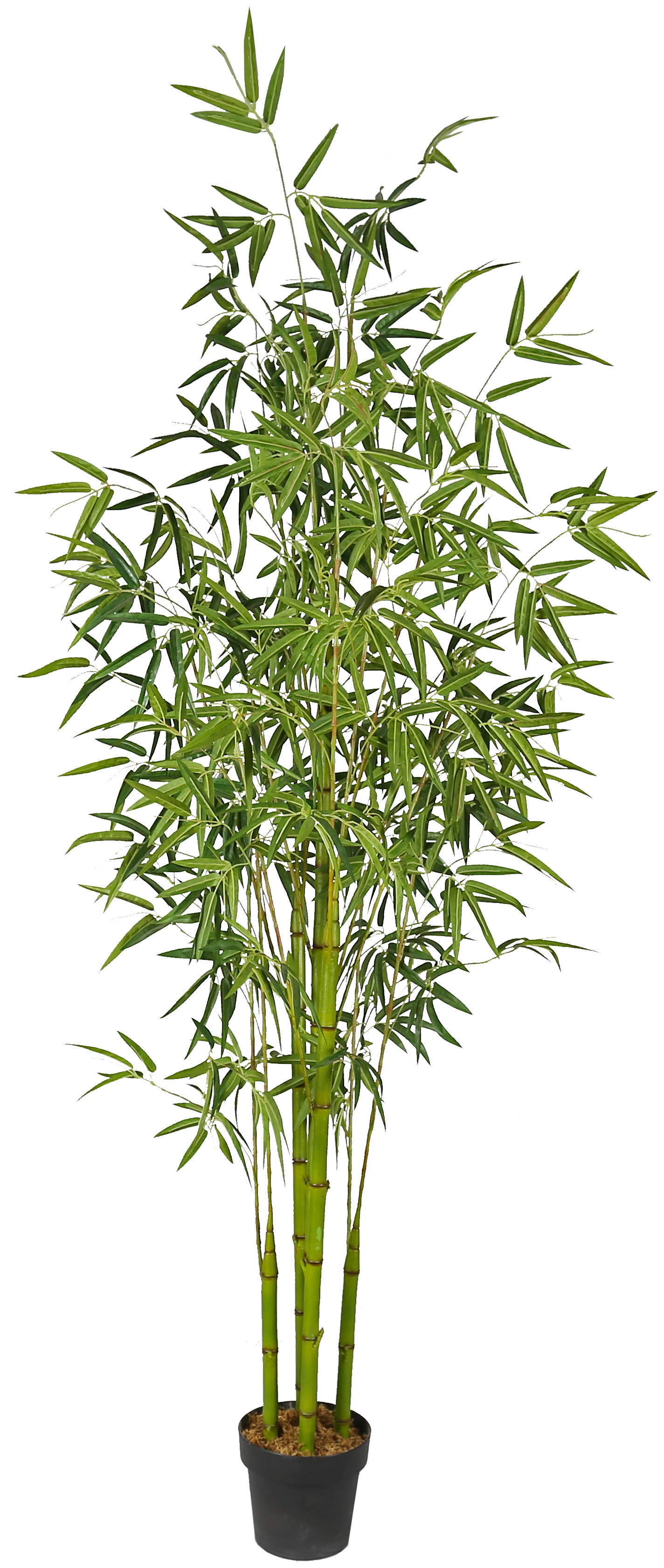 2.2m Korea Bamboo Artificial Bamboo Tree Plastic Bamboo