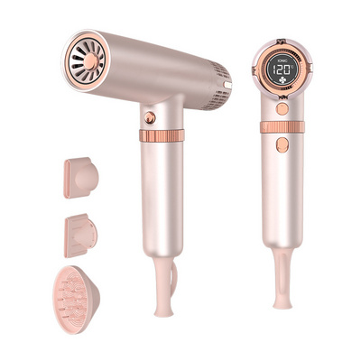 Factory Professional Electric Negative Ion BLDC Brushless Hair Styler Cold Air Hair Dryer High Speed Blow Dryers