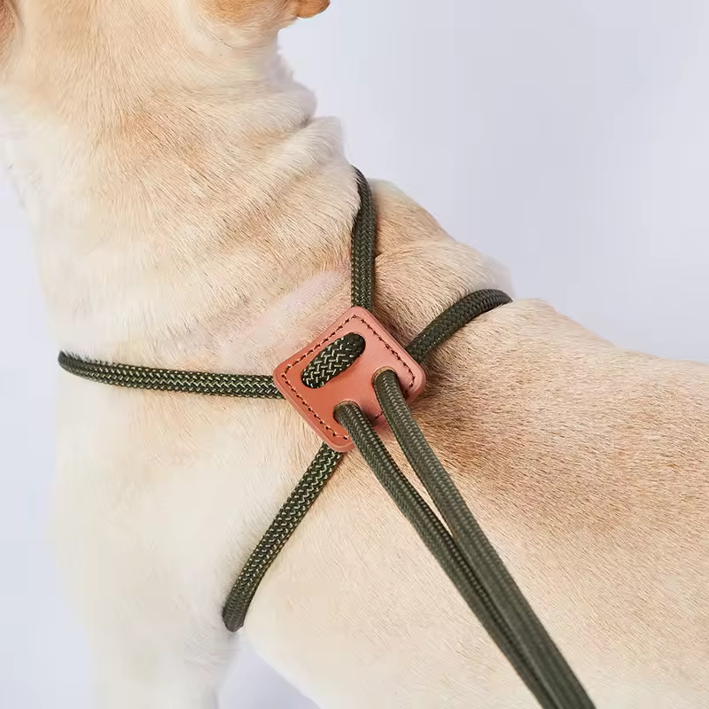 Multifunctional Custom Soft Polyester Webbing Paracord 3-in-1 Portable No Pull Easy Walk Pet Collar Dog Harness and Leash Set