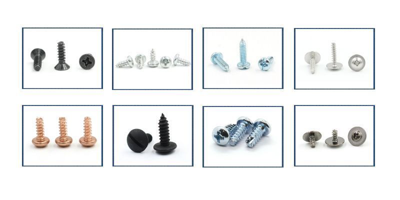 China Metal 304 Stainless Steel Self Tapping Screw Phillips Truss Head  Flat Tail Self Tapping Screw