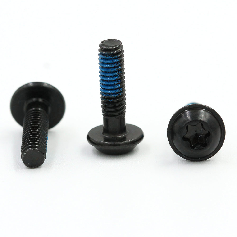 nylon patch screw / torx nylon patch screw loctite quality self locking blue nylok patch screw