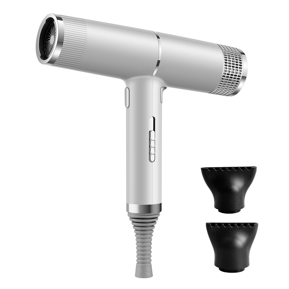 With Fcc&ce Salon Ionic Custom Hairdryer Hair Super Wind Quiet Blow Dryer Electric Hair Dryer