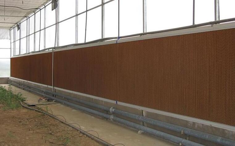 Cellulose honeycomb Industrial Water Evaporative Cooling Pad for Poultry House