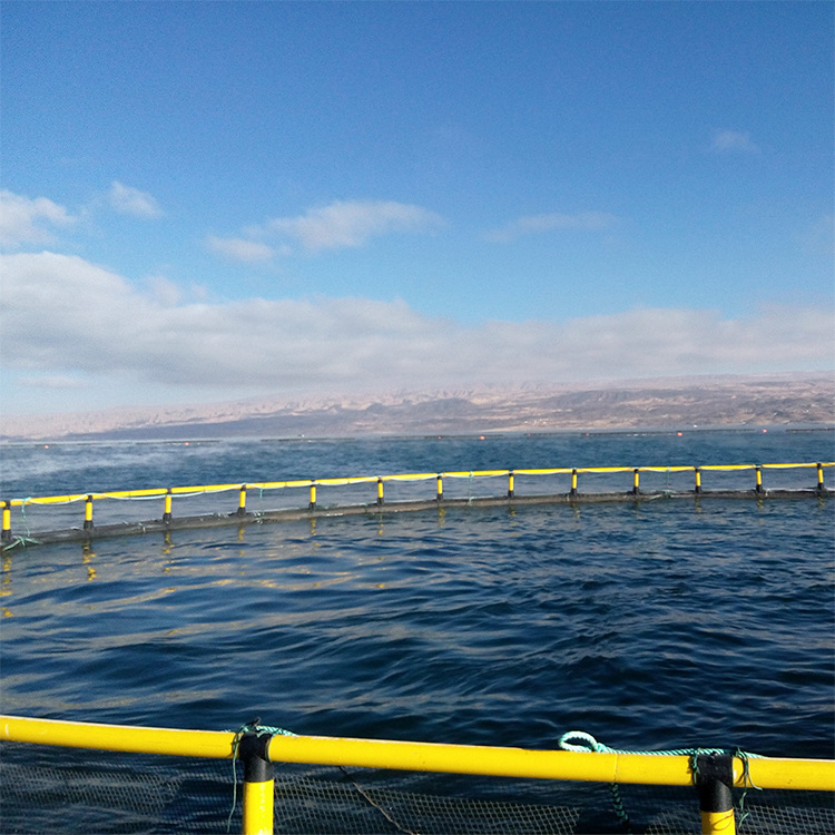 Circular Floating Sea Cage for culturing fish diameter 20m