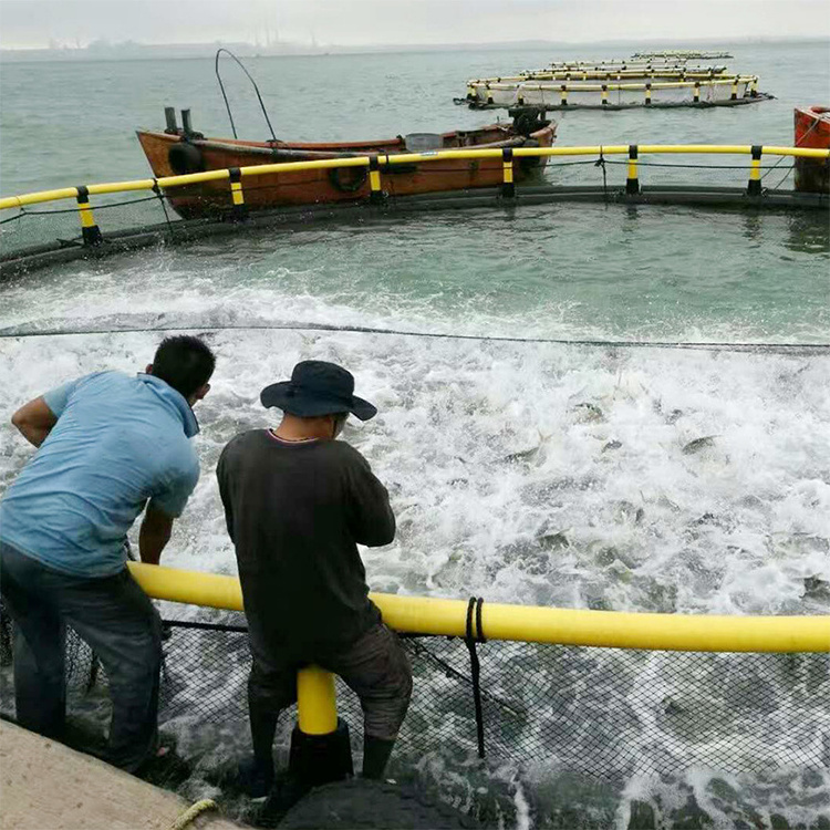 Circular Floating Sea Cage for culturing fish diameter 20m