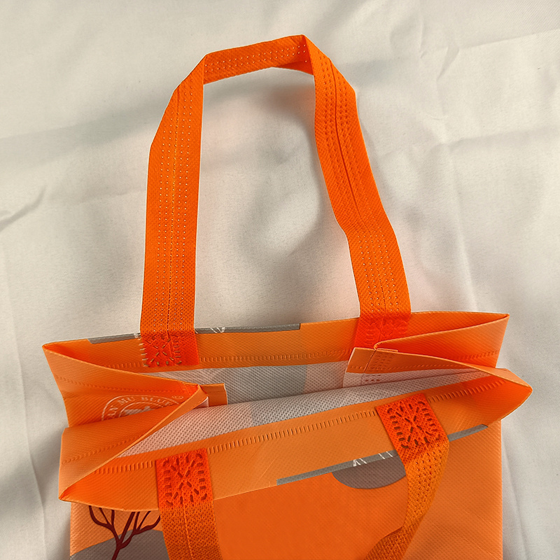 Custom Printing High Quality Eco Friendly Waterproof Fasioned Tote Non Woven Shopping Bag