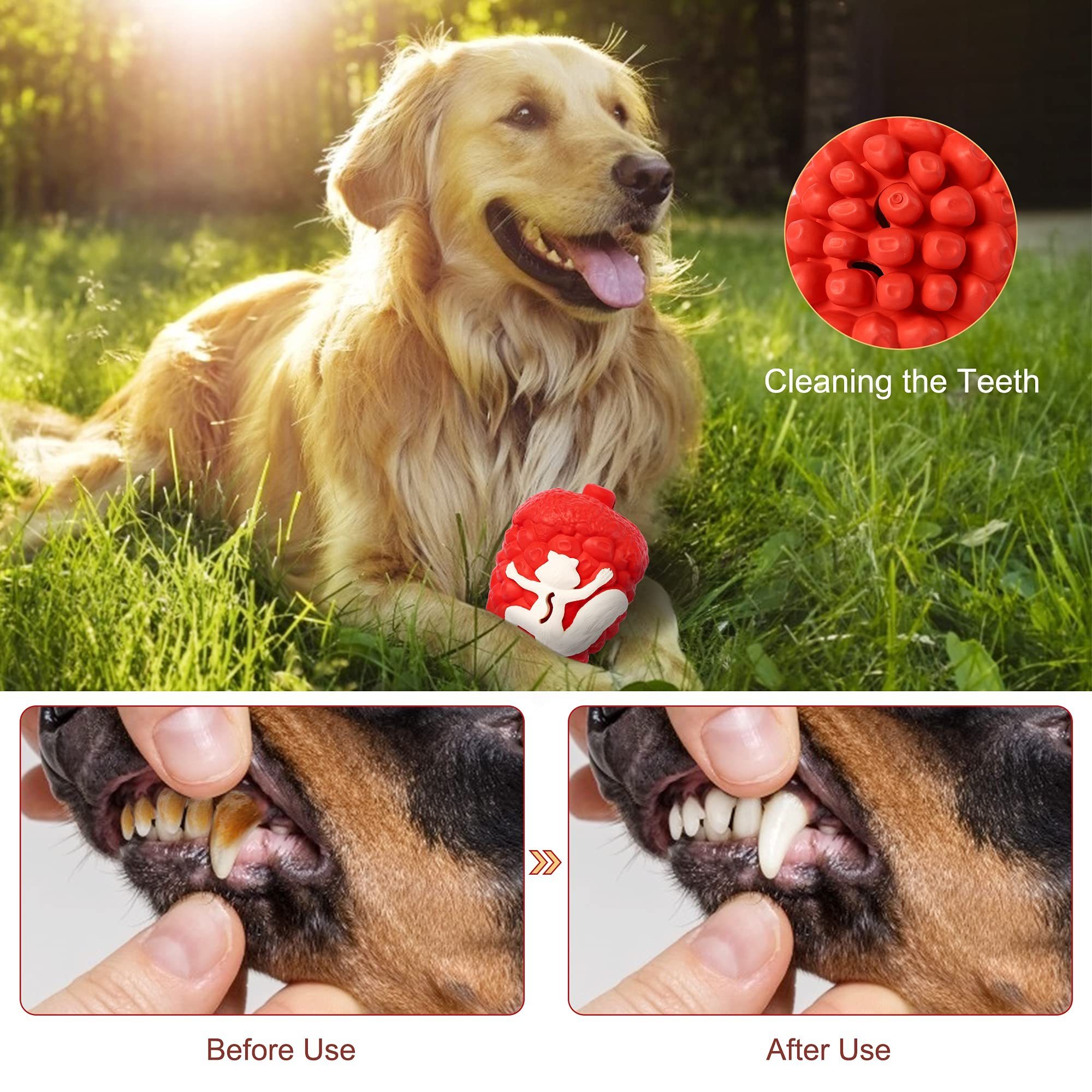 Durable Natural Non-toxic Rubber Pine Cones Puppy Chew Toys Interactive Teeth Clean Dog Toys